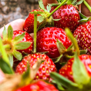 Strawberry - Image 2