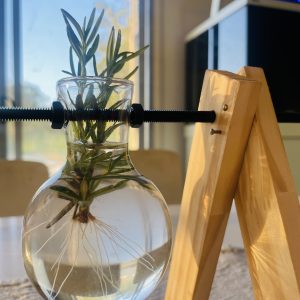 Rosemary - Image 2