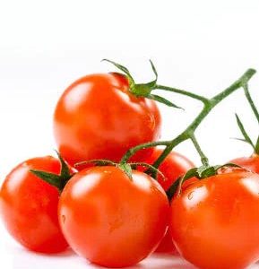 Berrylicious Tomato - Image 3