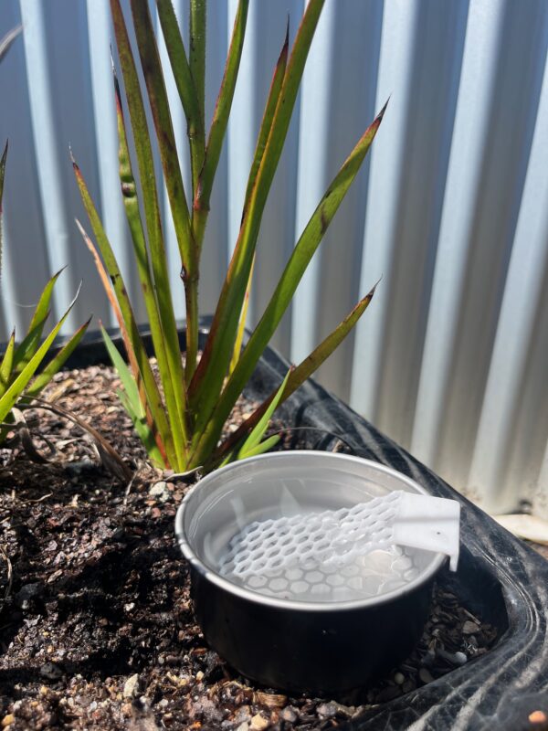 Bee Water Ladder